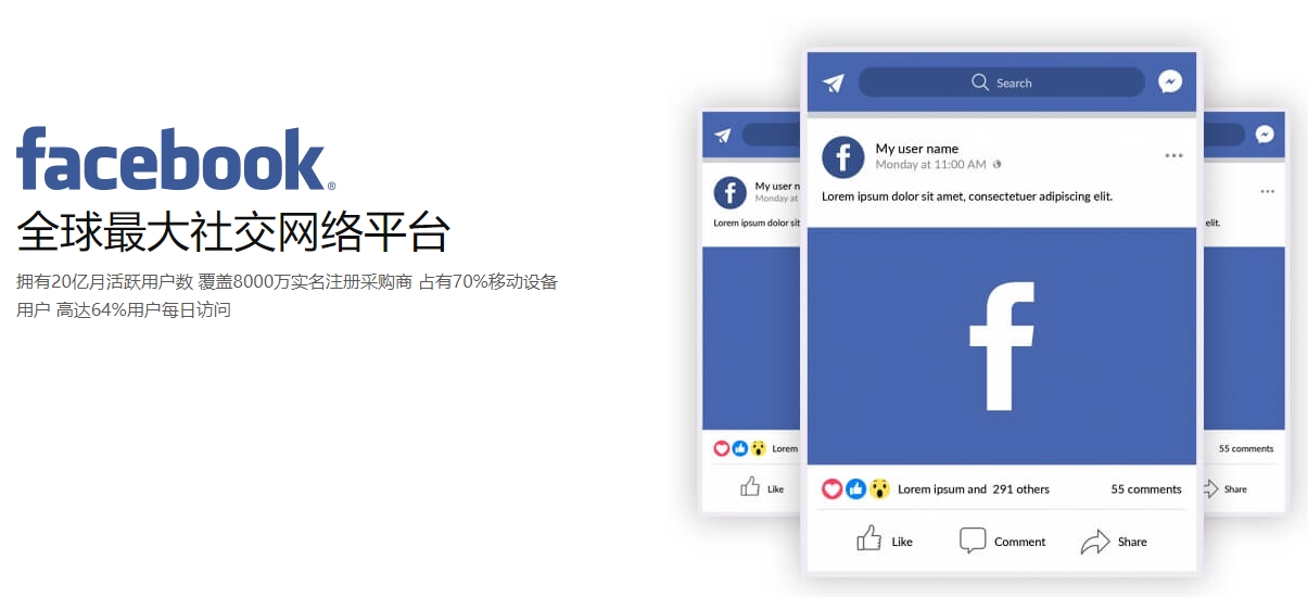长沙海外社交媒体营销  第1张